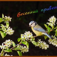 ...... :: Ольга Митрофанова