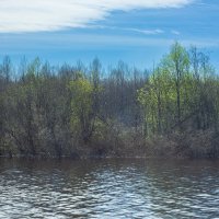 Spring by the full-flowing Bolshoy Puchkas River | 2 :: Sergey Sonvar