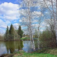 Весна на даче :: Галина Нестратова