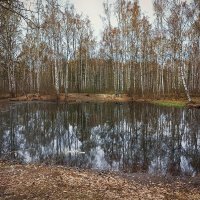 Наедине с природой. :: Лилия *