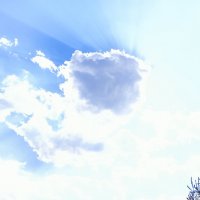 небесный портрет :: Владимир 