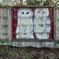 Две совы :: Наталья Герасимова