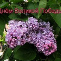 С Великим Праздником Победы! :: Люба 