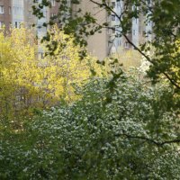 Солнце есть, но не жарко пока! :: Anna-Sabina Anna-Sabina