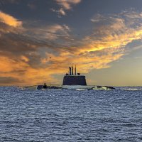 Submarine and Seagull :: Shmual & Vika Retro