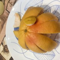 Красный грейпфрут 2 :: Alexey YakovLev