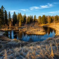 Поганая Лохань :: Денис Бочкарёв