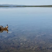 Лето на Имандре :: Ольга 