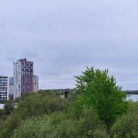 Брянск. Жилой квартал у Десны. :: Ольга 