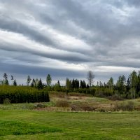 Spring is coming 05-2026 :: Arturs Ancans
