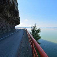 Дорога на берегу Дуная :: Милорад 