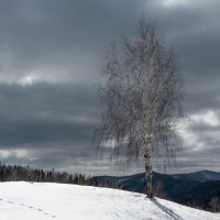 В ожидании весны :: Сергей Герасимов