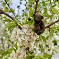 Зацепился за красоту!) :: Любовь 
