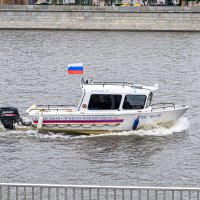 Чижик :: Валерий Пославский