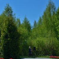 "Калинково". Саксофонист. :: Константин Белоногов