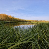 2 :: Александр 