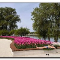 сезон открыт :: Сеня Белгородский