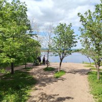 Самара. В загородном парке :: Надежда Самара. В загородном парке :: Надежда