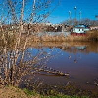 На берегу городской речки :: Александр Синдерёв