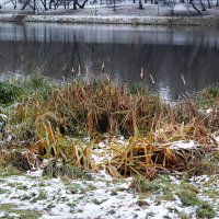 Нижний Люблинский пруд :: Игорь Белоногов