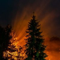 Ночной туман :: Владимир А.Р. 