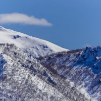 ... :: Жора Житников