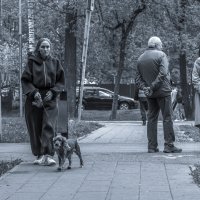 ***** :: юрий поляков