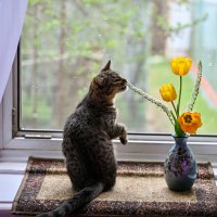 * :: Вадим 