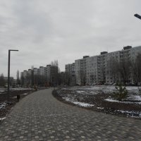 стылый март :: Елена Шаламова