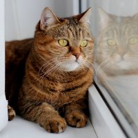 Настроение :: Ирина 