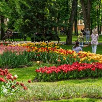 Парк в городе Гомель :: Игорь Сикорский