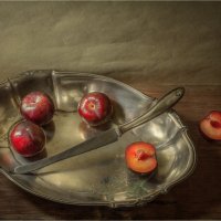 Сливы. :: Oleg Rastorguev
