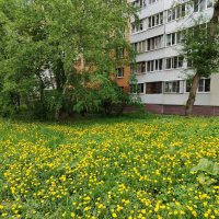 Самара :: Надежда Самара :: Надежда