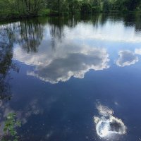 * * * :: Андрей Лукьянов * * * :: Андрей Лукьянов