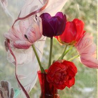 Май :: Венера Чуйкова Май :: Венера Чуйкова