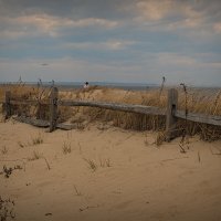 *** :: Олег Чемоданов *** :: Олег Чемоданов