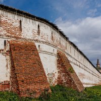 Ещё одуванчики :: Eugene * Ещё одуванчики :: Eugene *