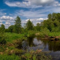 Майский день уж тихо тает :: Андрей Дворников