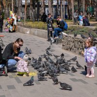 В парке :: Татьяна Машошина В парке :: Татьяна Машошина