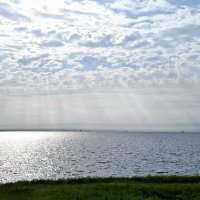 Луч солнца золотого... :: Хватова Марина 