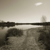 прочее :: Денис Безногов
