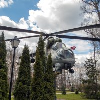 В парке Новомосковска :: Сергей Цветков