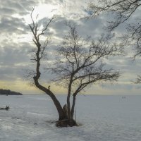 Облачно........ :: Юрий Цыплятников