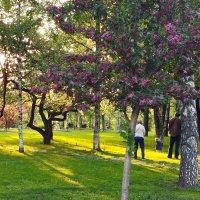 Фотосессия на закате :: Александр Чеботарь