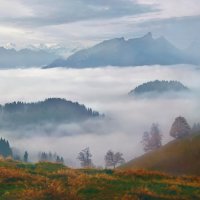 autumn :: Elena Wymann