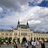 МОСКВА :: Tata Wolf