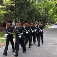. :: Алексей Неустроев . :: Алексей Неустроев