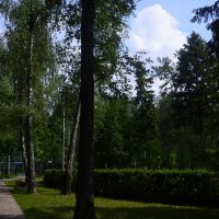 Скоро лето. :: Василий Палий Скоро лето. :: Василий Палий