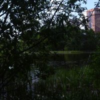 Городская окраина. :: Василий Палий Городская окраина. :: Василий Палий