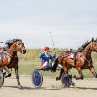 Бега :: SanSan 